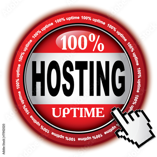 100% HOSTING UPTIME ICON