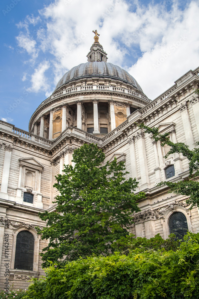 Fototapeta premium London, St. Pauls cathedral view from garden