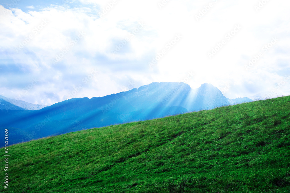 Fototapeta premium Nature.