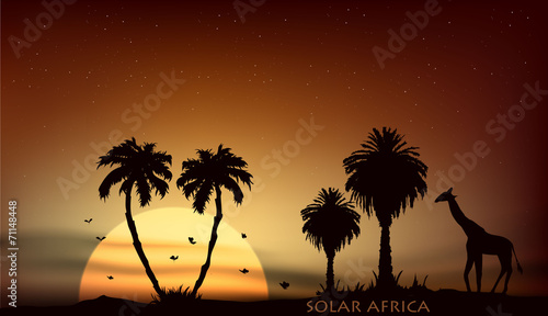 sunrise over the African savanna giraffe and trees