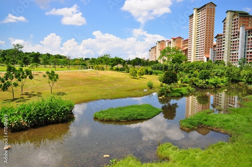 Green pasture with a river at Bishan Park