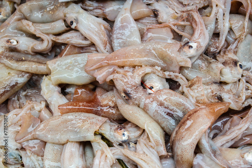 Sicily Calamari