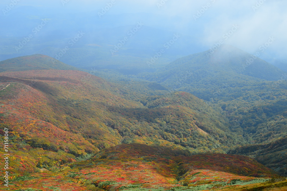 Obraz premium fallscape of mountain