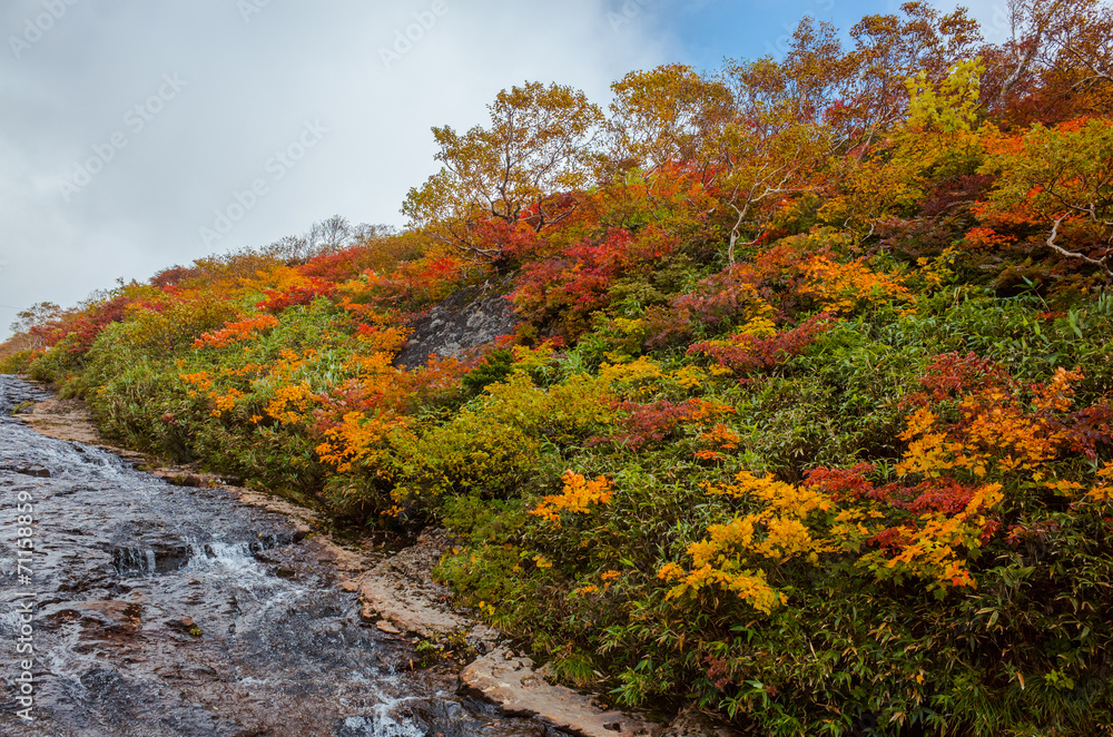 fallscape of mountain fallscape of mountain