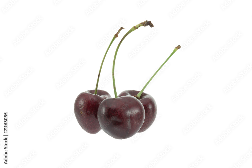Cherry Cherry