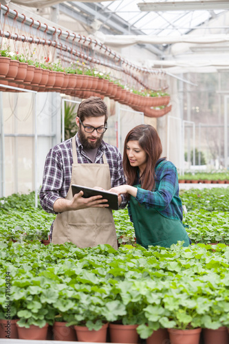 Young garden worker in apron using digital tablet at greenhouse
