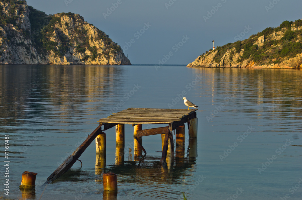 Seagull on an old rusty dock at sunny morning, Porto Koufo Seagull on an old rusty dock at sunny morning, Porto Koufo