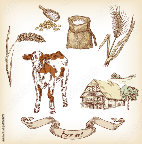 Farm set. Hand drawn illustration of cow, house, grain, calf