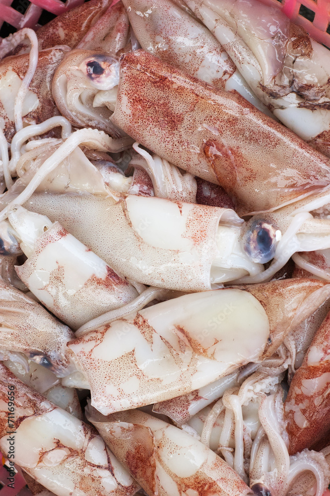 brown squids on fish market brown squids on fish market