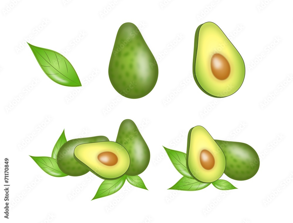 Set of avocado illustration Set of avocado illustration