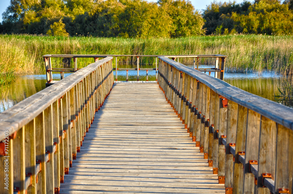 Tablas de Daimiel, parque nacional, perspectiva lineal