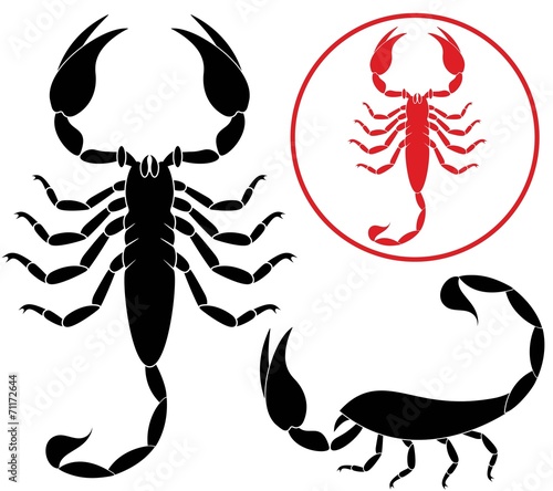Scorpion