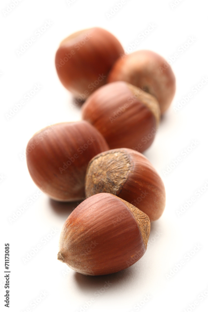 Fresh hazelnuts Fresh hazelnuts