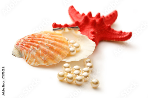 White pearls in seashell and seastar