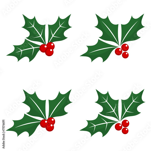 Christmas holly berry icons