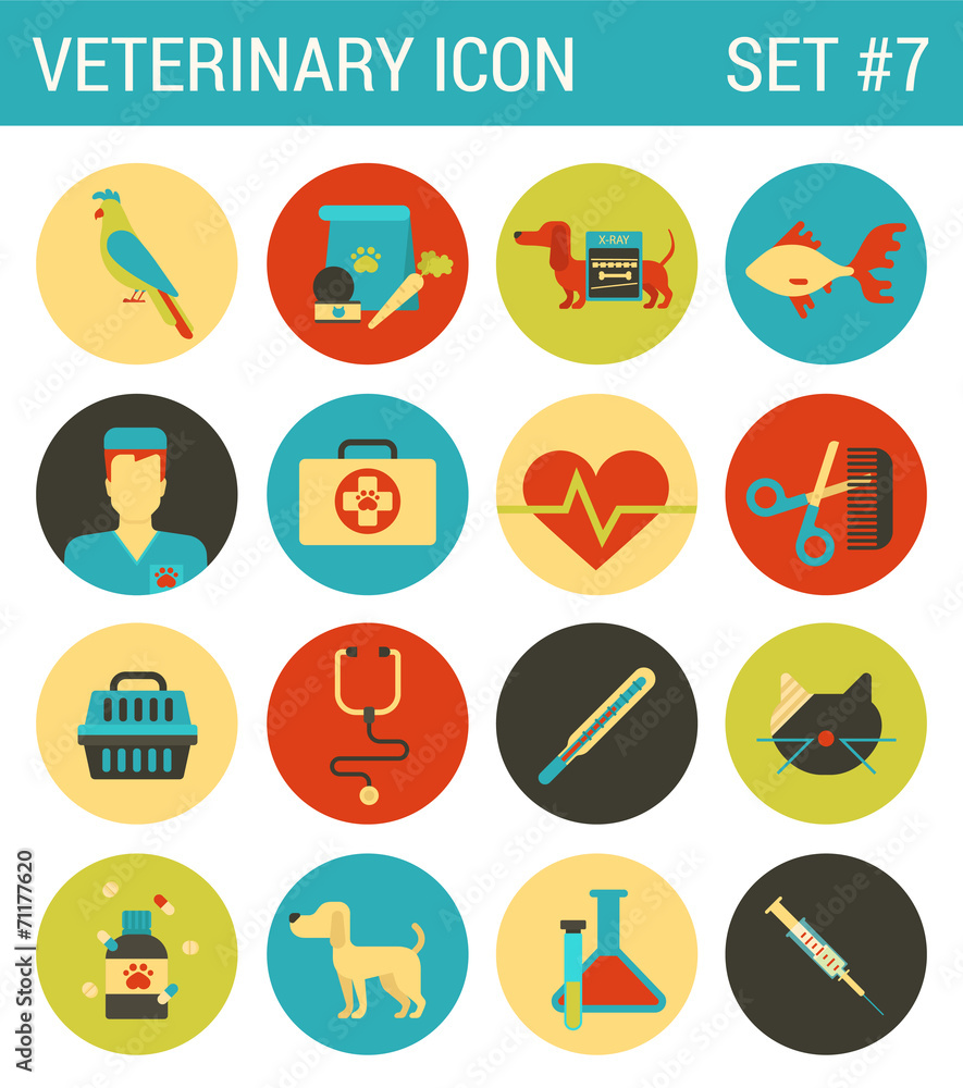Veterinary medicine flat icons set animal medical service Veterinary medicine flat icons set animal medical service