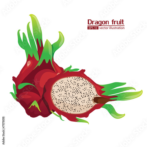 ragon fruit photo