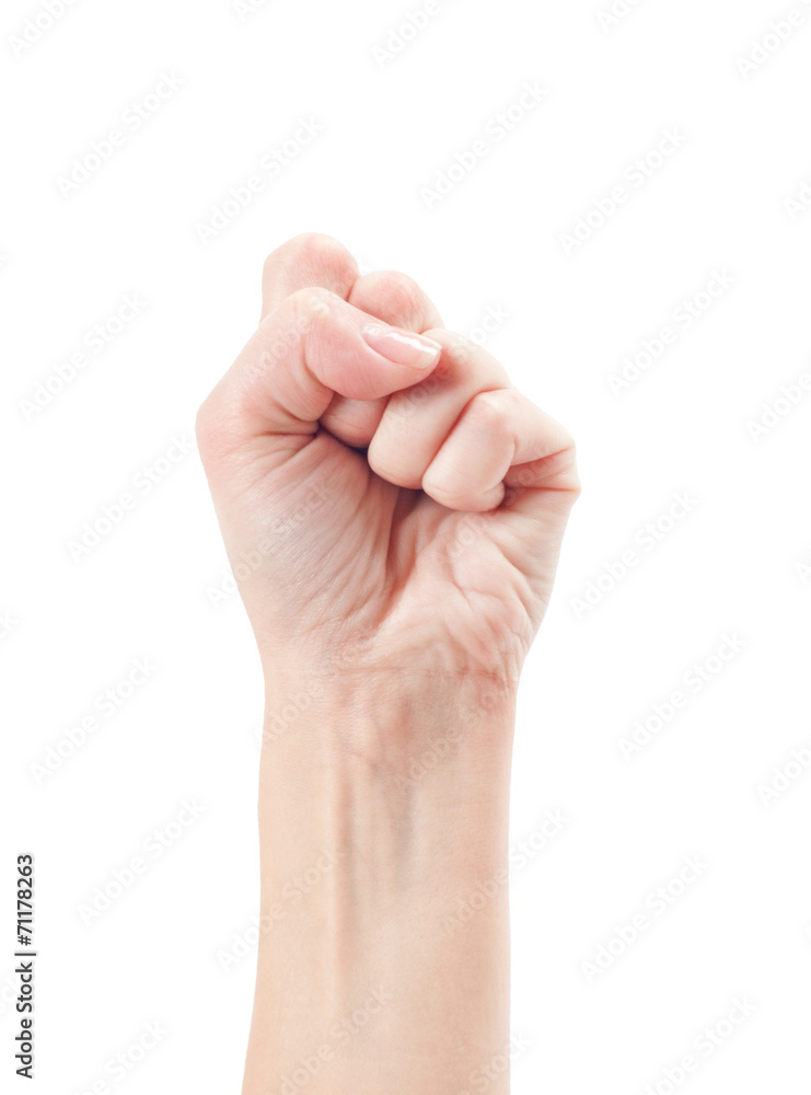 Fist. Gesture of the hand on white background. Fist. Gesture of the hand on white background.