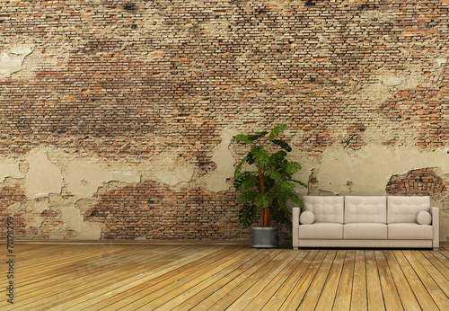 old wall and plant sofa photo