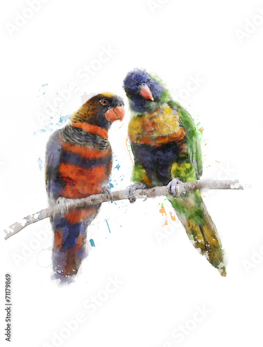 Fototapeta Watercolor Image Of Colorful Parrots