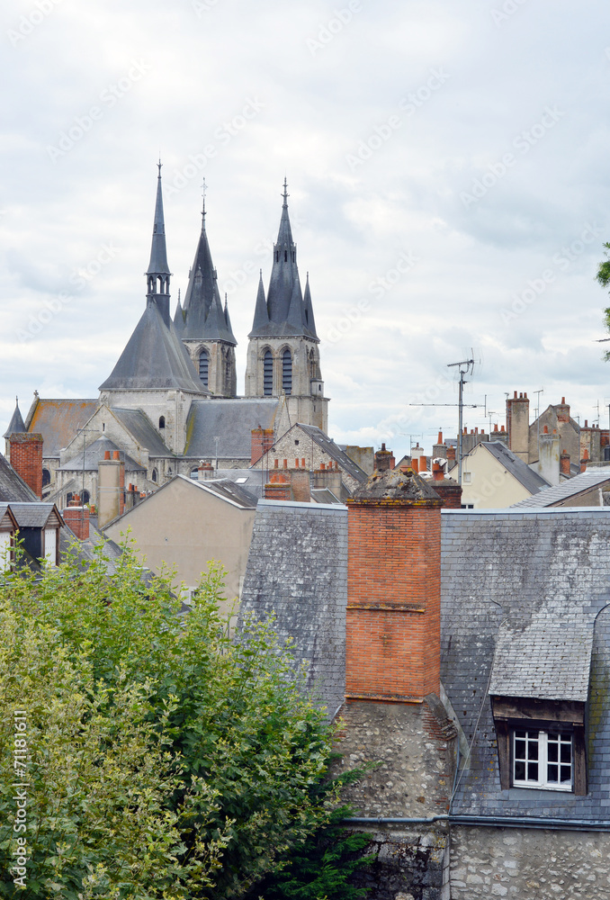 Blois France Roofs and Church