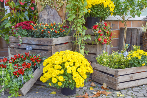 blumenladen0610a