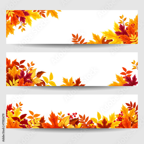 Vector banners with colorful autumn leaves.