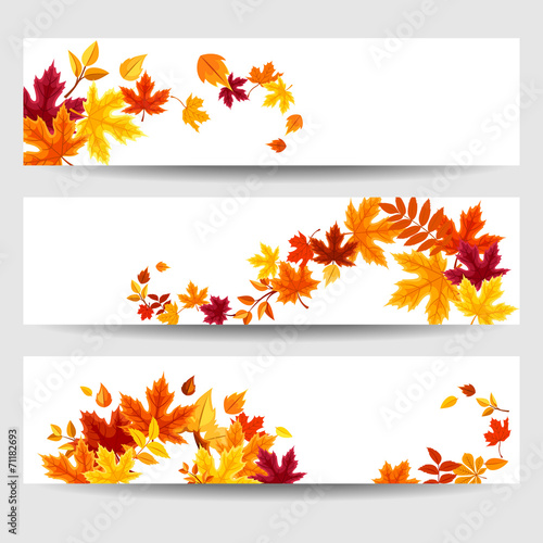 Vector banners with colorful autumn leaves.