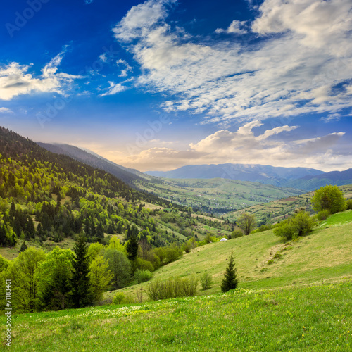 village on hillside meadow with forest in mountain
