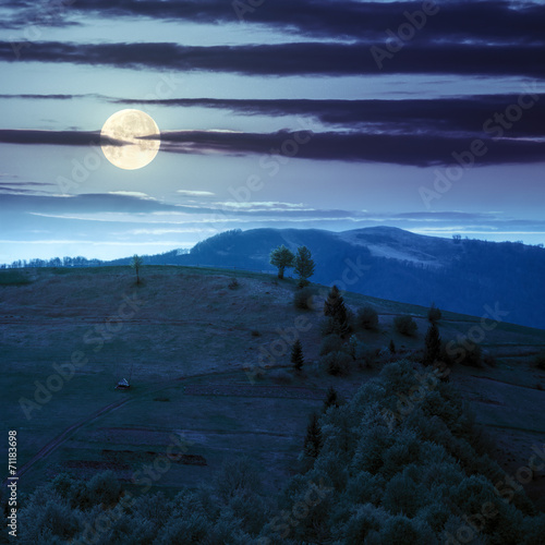 village on hillside meadow with forest in mountain at night © Pellinni