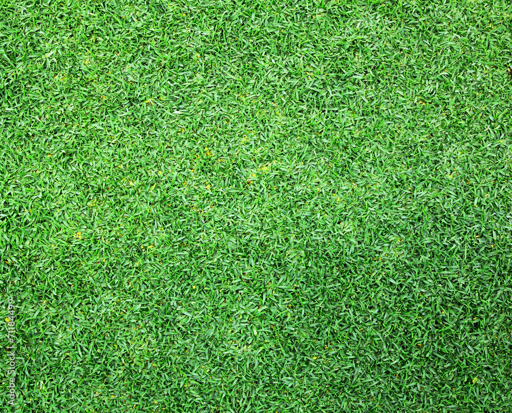 Obraz premium Lawn