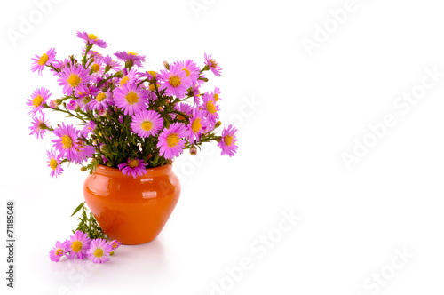 Fototapeta Naklejka Na Ścianę i Meble -  bouquet of pink flowers in a clay vase
