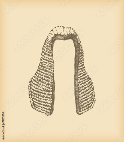 Judge wig