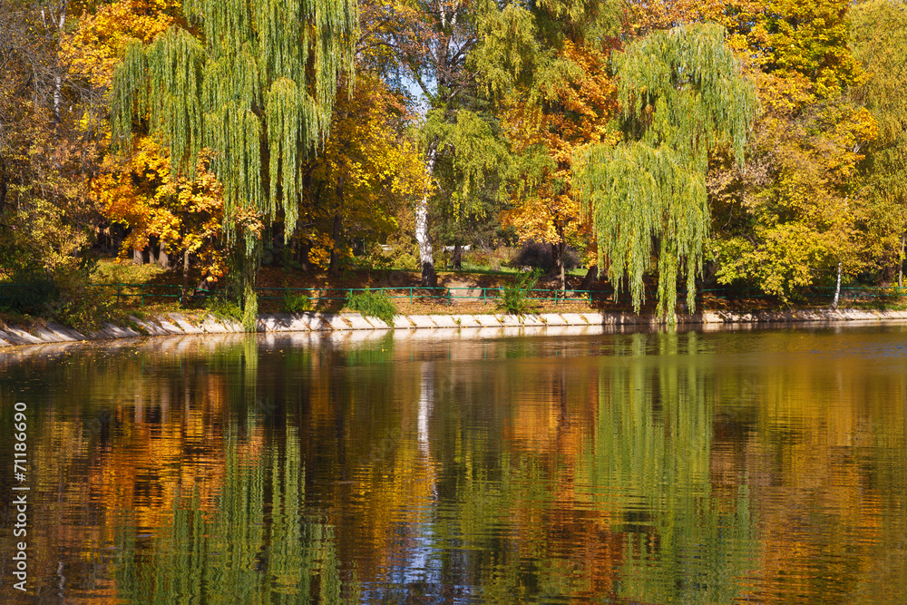 Autumn landscape Autumn landscape