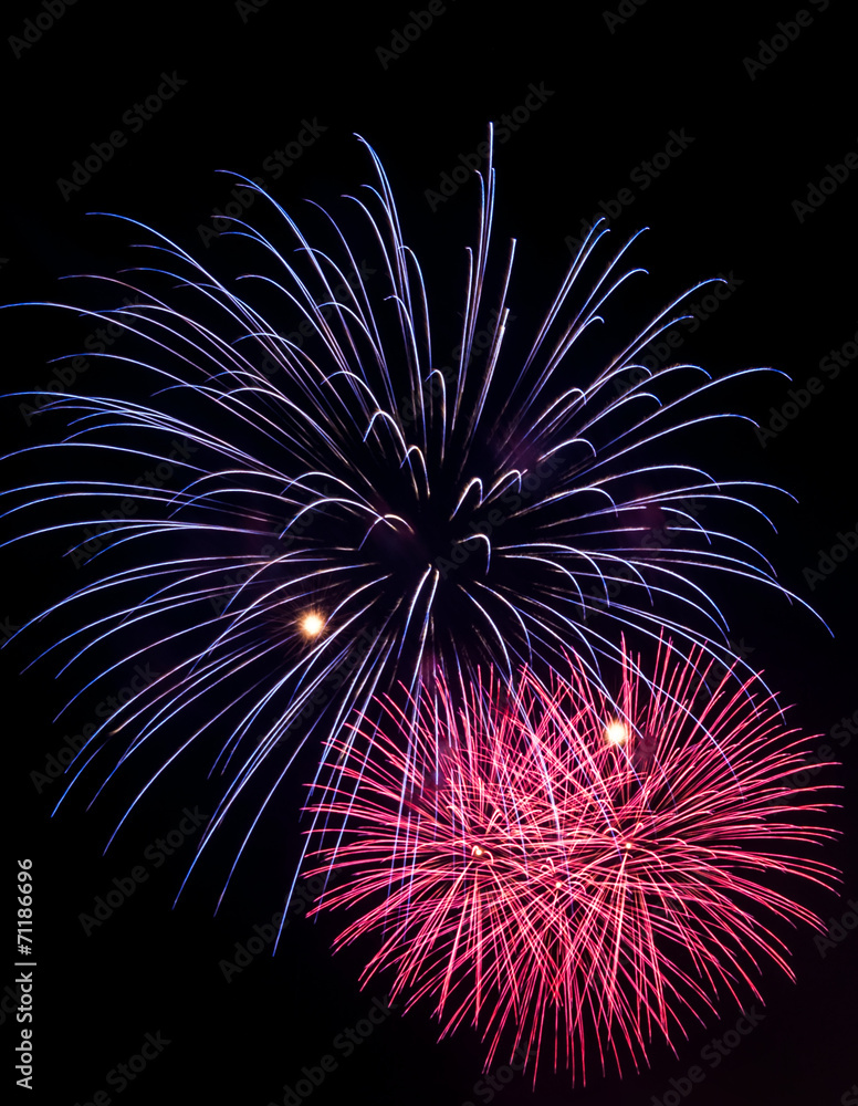 Fototapeta premium Colorful firework