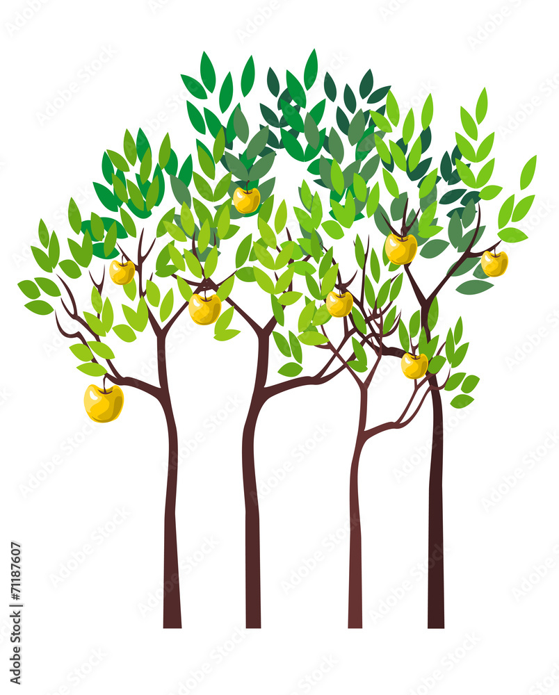 Fototapeta premium Four Apple Trees