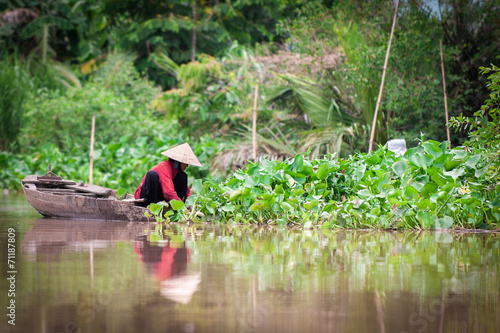 Donna Vietnamita mentre raccoglie ortaggi sul fiume Mekong