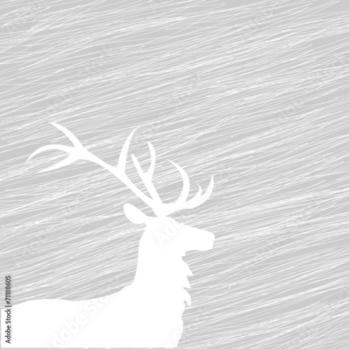 Hirsch