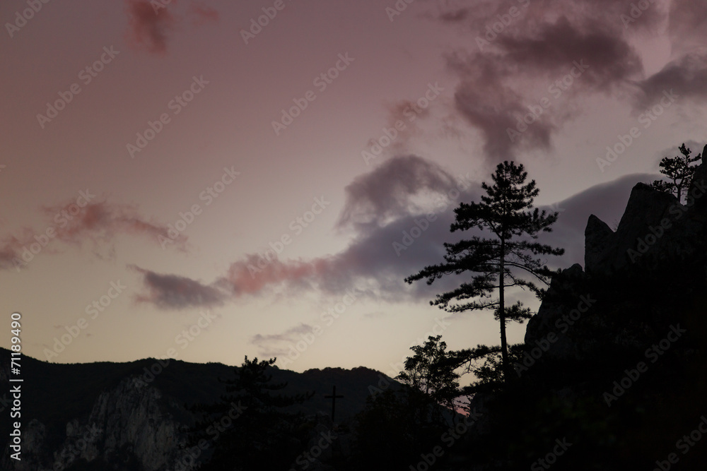 Mountain scenery with black pine trees Pinus nigra