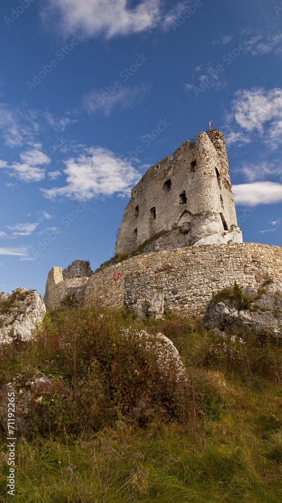 Ruins of Mirow Castle, Poland
