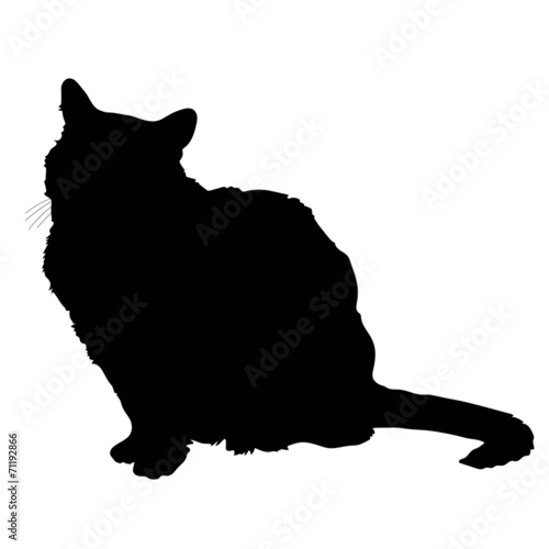 cat silhouette 2