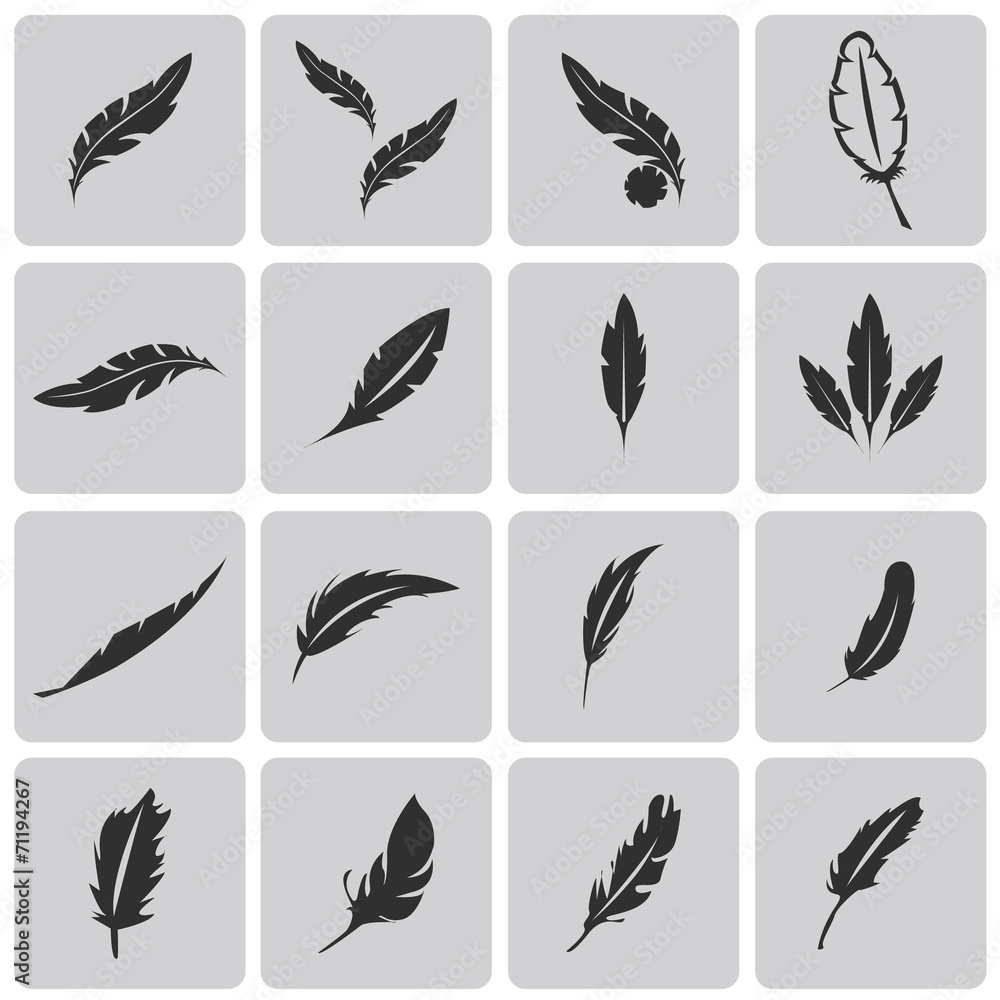 Fototapeta premium Vector black feather Black icons set. Vector Illustration eps10