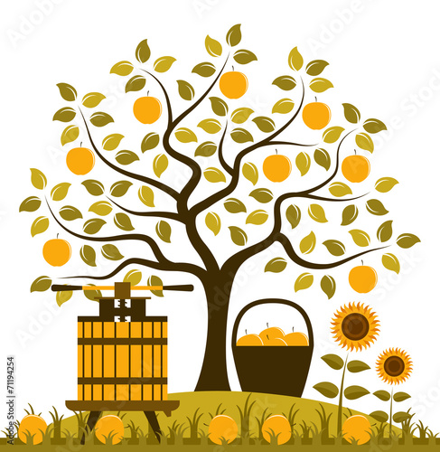 apple harvest