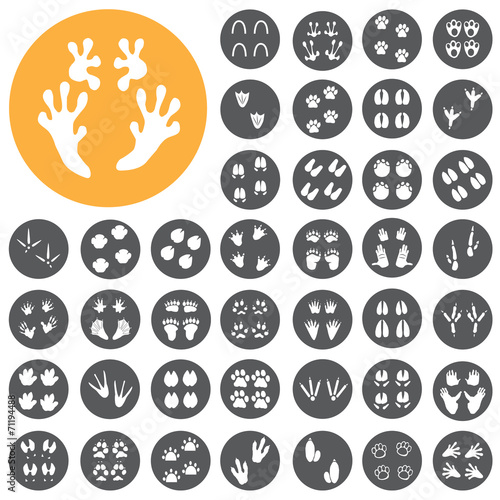 Traces of animals birds footprints icons set. Vector Illustratio