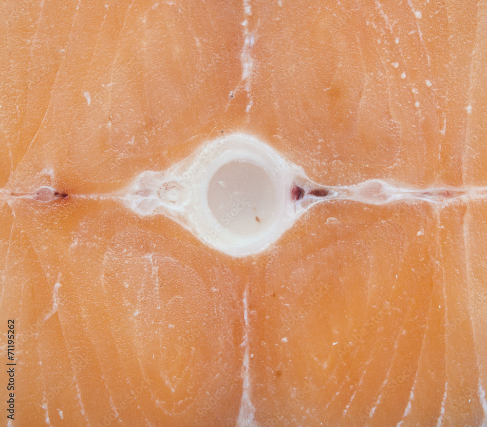 Fototapeta premium red fish,close up salmon slice texture