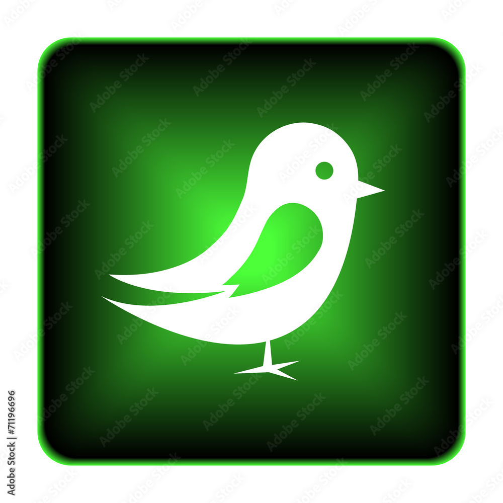 Bird icon Bird icon