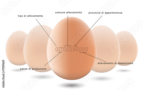 tracking code and freshness on eggs photo