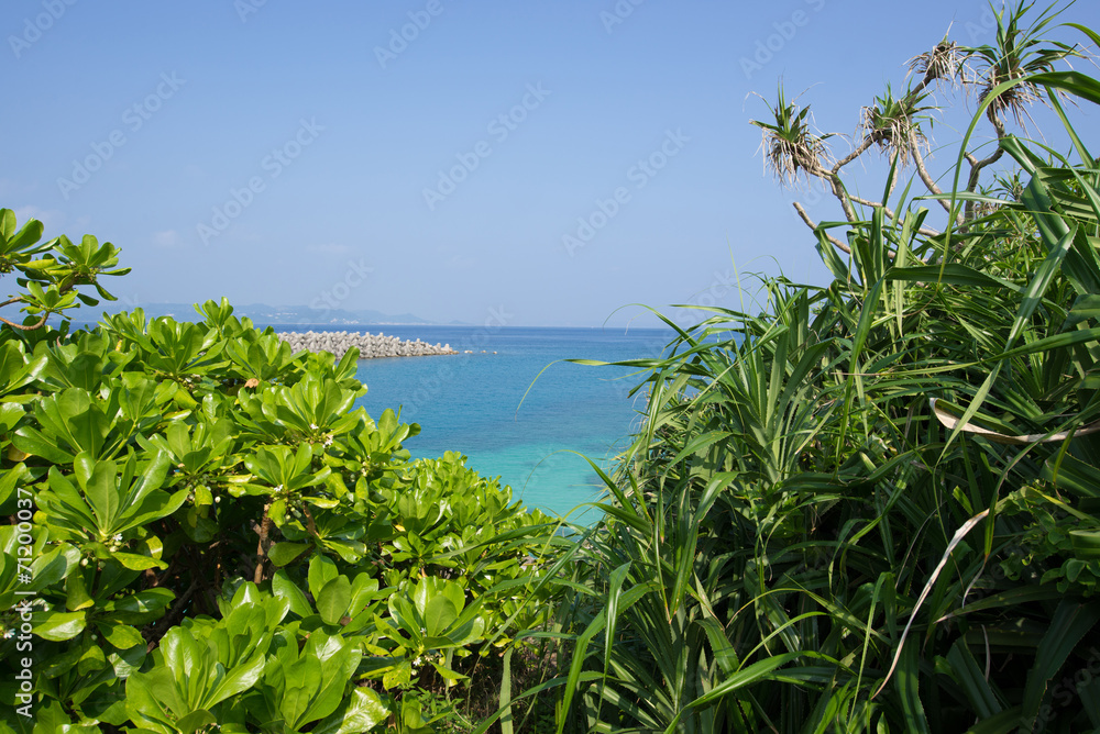 沖縄の海・久高島