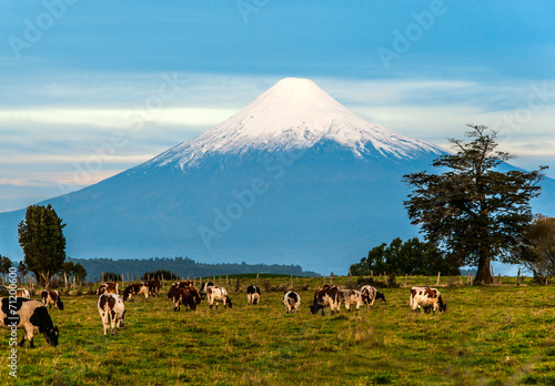 Idyllic landscape of Osorno Volcano, Lake Region, Chile photo