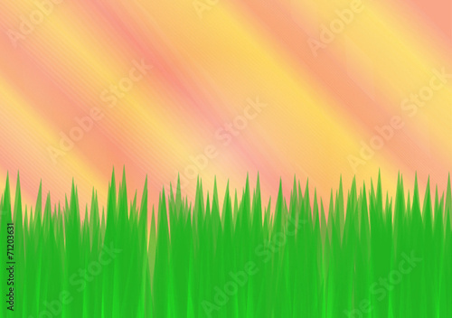 Green grass with colorful sky background vector illustration